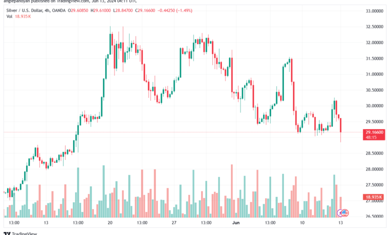 تحليل الفضة 13-6-2024 SILVER XAGUSD