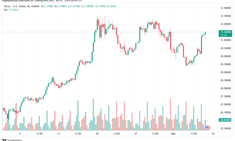 تحليل الفضة 7-6-2024 SILVER XAGUSD