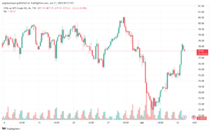 تحليل النفط CRUDE OIL -11-6-2024