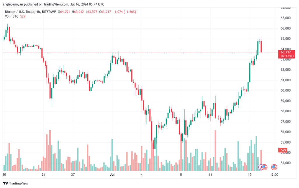 تحليل البتكوين دولار BTCUSD-16-7-2024
