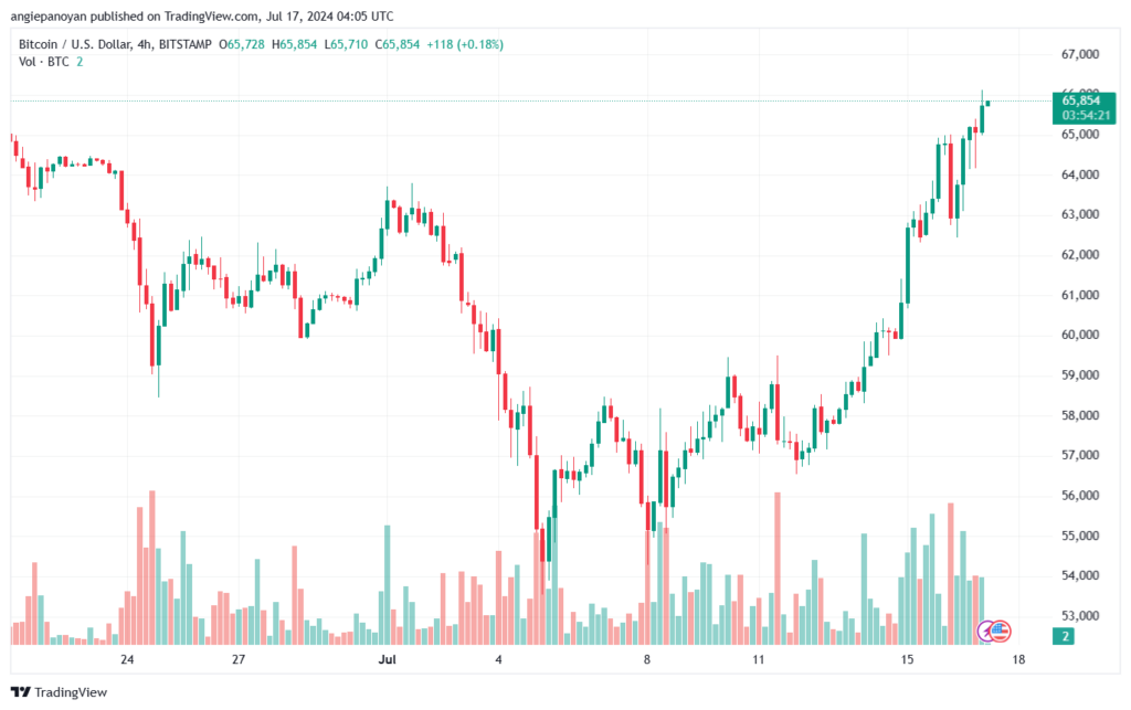 تحليل البتكوين دولار BTCUSD-17-7-2024