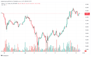 تحليل البتكوين دولار BTCUSD-19-7-2024