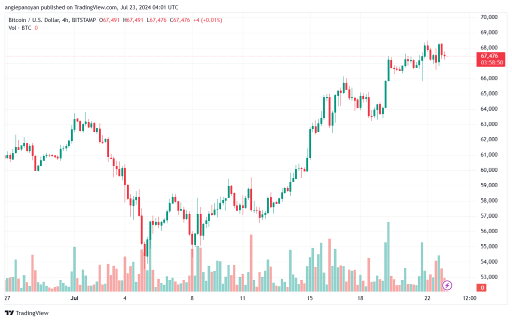 تحليل البتكوين دولار BTCUSD-23-7-2024