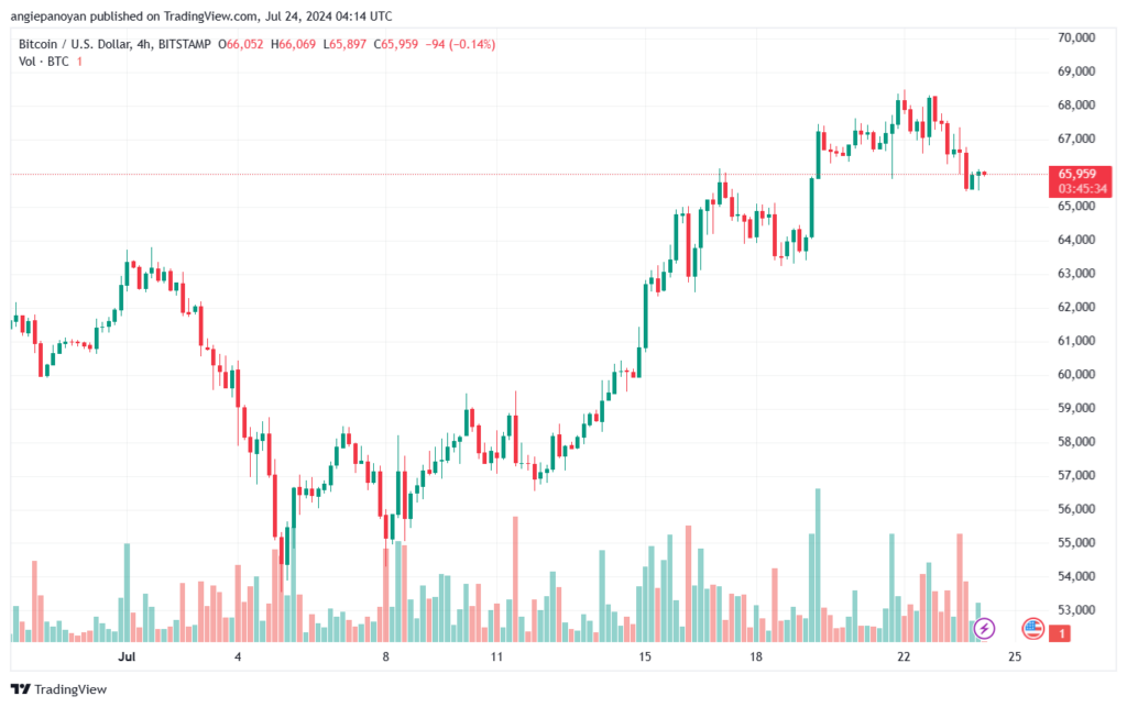 تحليل البتكوين دولار BTCUSD-24-7-2024