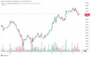 تحليل البتكوين دولار BTCUSD-24-7-2024