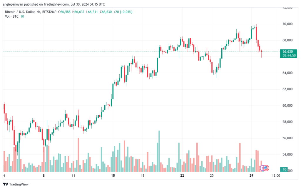 تحليل البتكوين دولار BTCUSD-30-7-2024