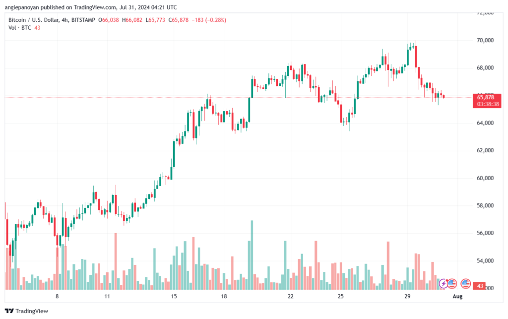 تحليل البتكوين دولار BTCUSD-31-7-2024