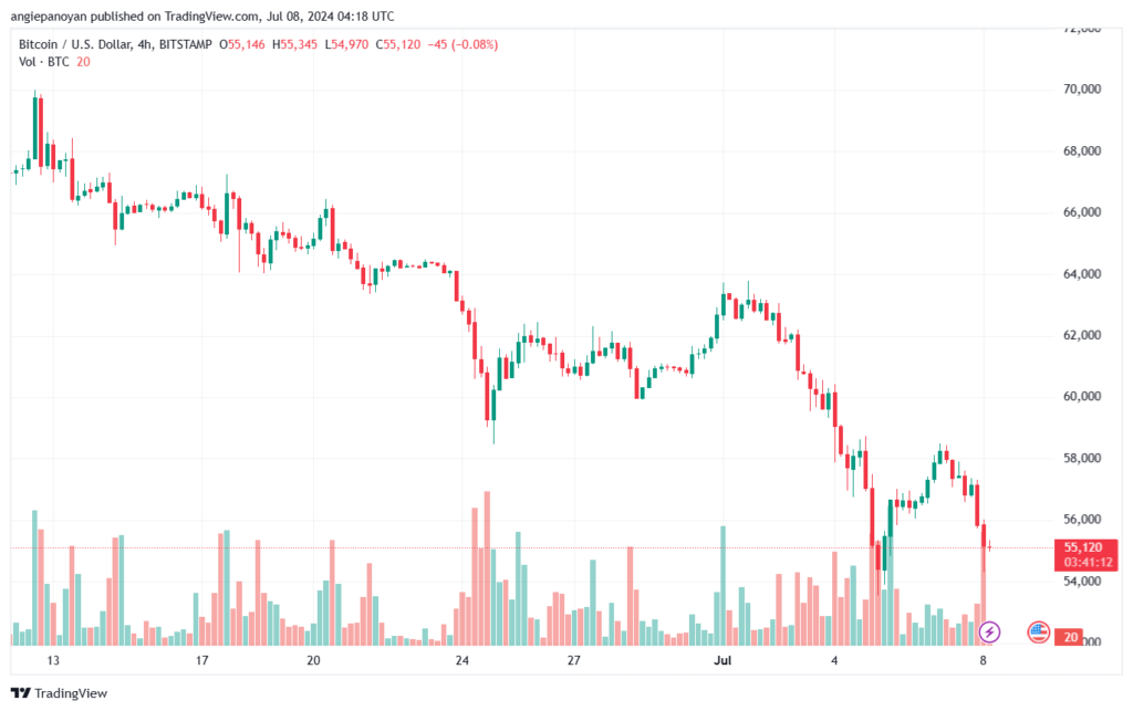 تحليل البتكوين دولار BTCUSD-8-7-2024