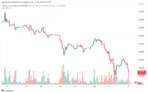 تحليل البتكوين دولار BTCUSD-8-7-2024