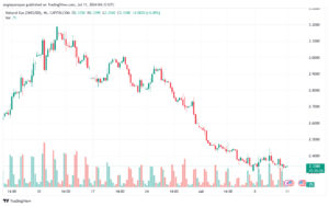 تحليل الغاز الطبيعي 11-7-2024 NATURAL GAS