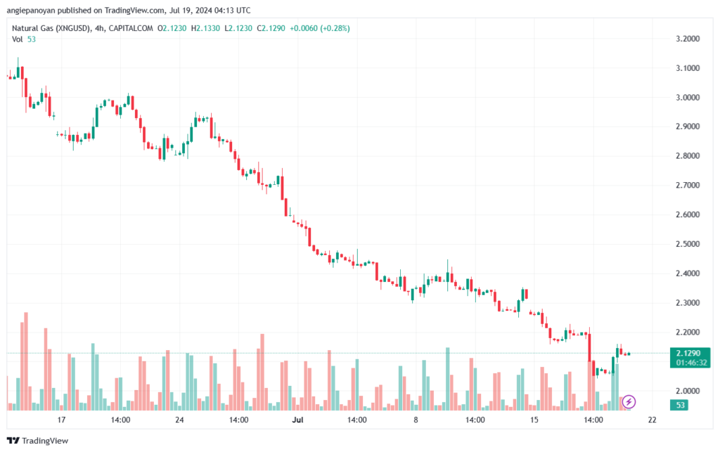 تحليل الغاز الطبيعي 19-7-2024 NATURAL GAS