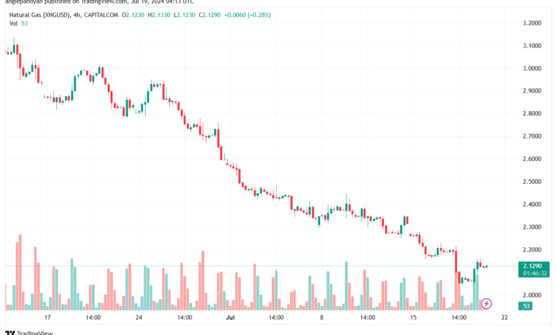 تحليل الغاز الطبيعي 19-7-2024 NATURAL GAS