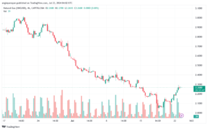 تحليل الغاز الطبيعي 23-7-2024 NATURAL GAS