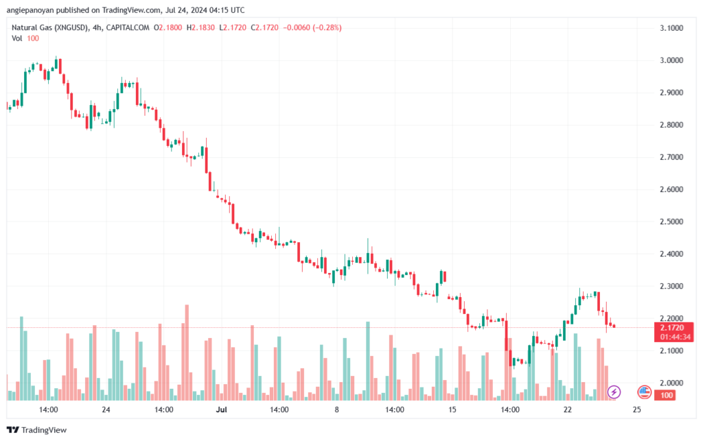 تحليل الغاز الطبيعي 24-7-2024 NATURAL GAS
