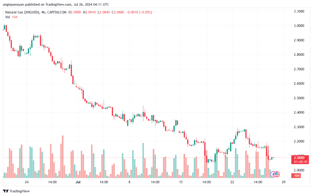 تحليل الغاز الطبيعي 26-7-2024 NATURAL GAS