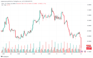 تحليل الفضة 25-7-2024 SILVER XAGUSD