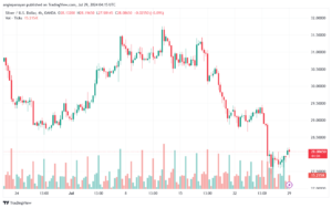 تحليل الفضة 29-7-2024 SILVER XAGUSD