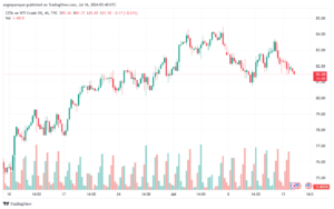 تحليل النفط CRUDE OIL -16-7-2024