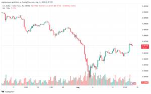 تحليل-USDCHF-16-8-2024