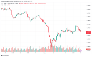 تحليل-USDCHF-19-8-2024