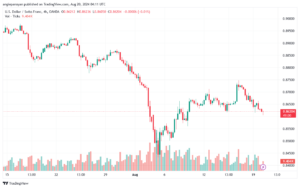 تحليل-USDCHF-20-8-2024
