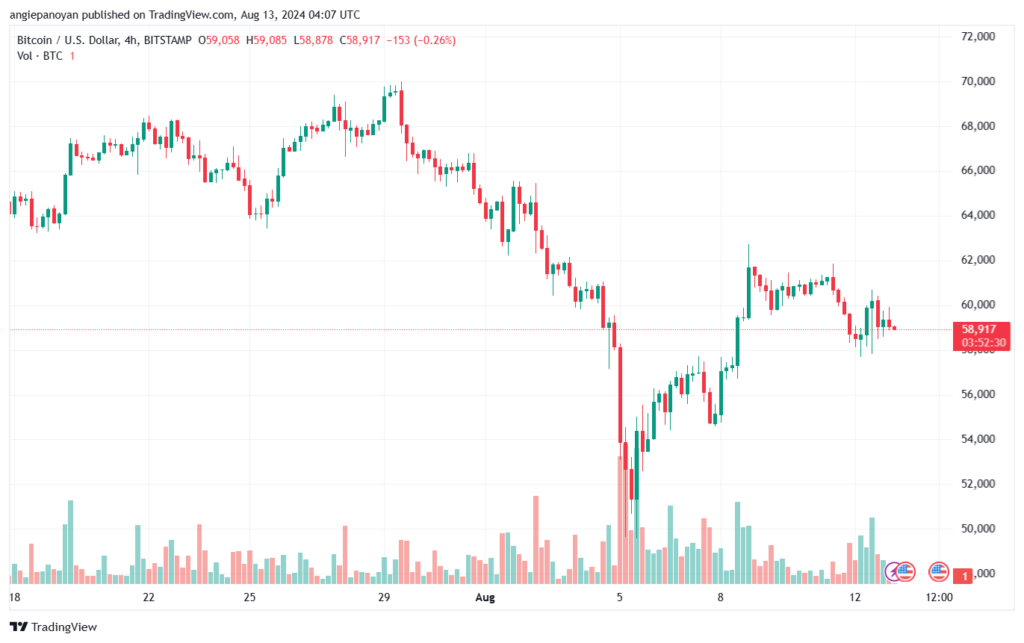 تحليل البتكوين دولار BTCUSD-13-8-2024