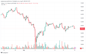 تحليل البتكوين دولار BTCUSD-19-8-2024