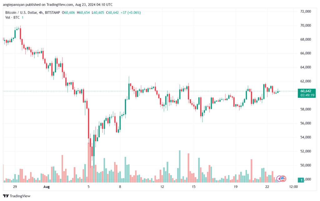 تحليل البتكوين دولار BTCUSD-23-8-2024