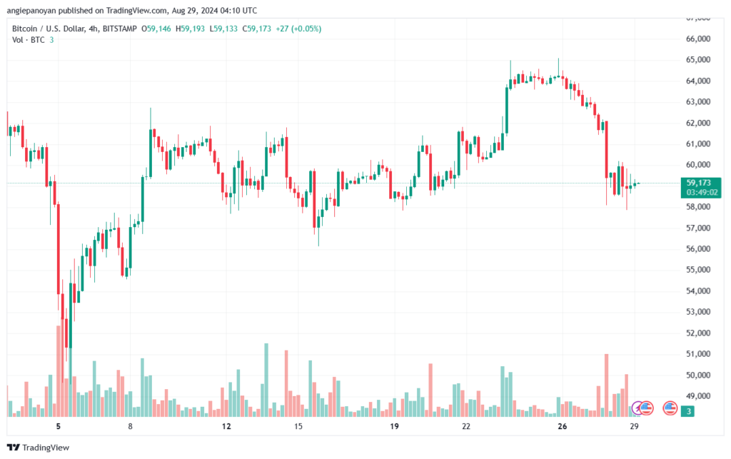 تحليل البتكوين دولار BTCUSD-29-8-2024