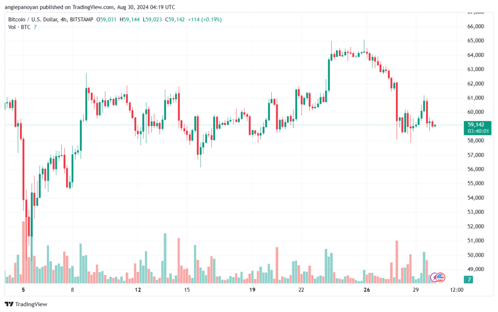 تحليل البتكوين دولار BTCUSD-30-8-2024
