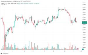 تحليل البتكوين دولار BTCUSD-30-8-2024