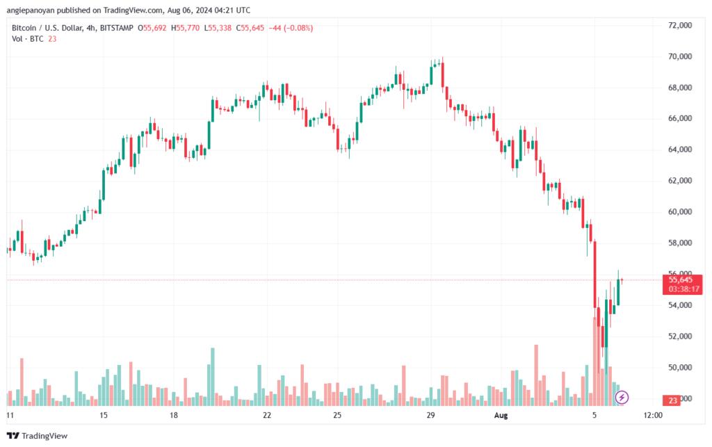 تحليل البتكوين دولار BTCUSD-6-8-2024