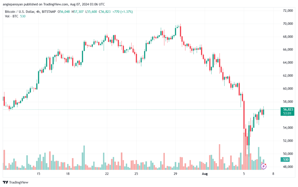 تحليل البتكوين دولار BTCUSD-7-8-2024