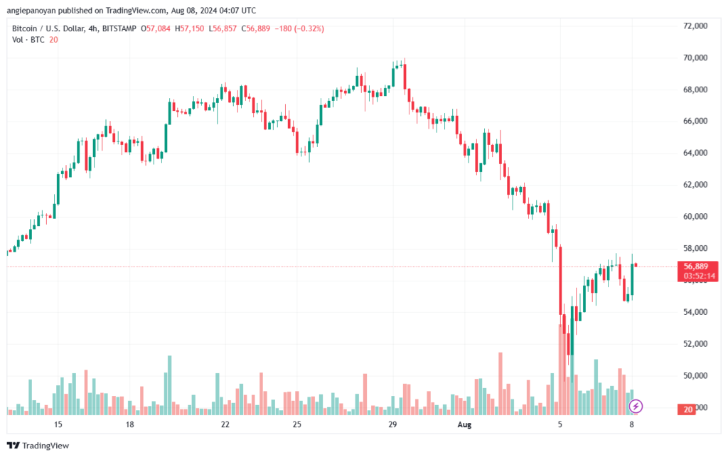 تحليل البتكوين دولار BTCUSD-8-8-2024