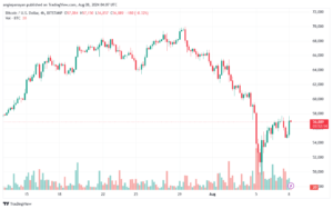 تحليل البتكوين دولار BTCUSD-8-8-2024