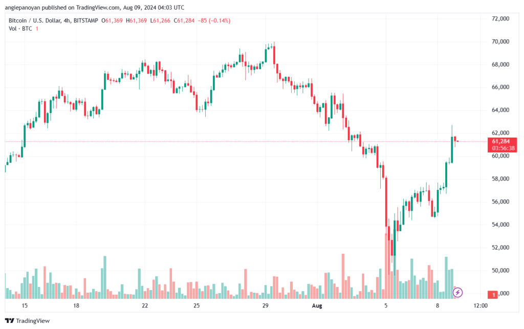 تحليل البتكوين دولار BTCUSD-9-8-2024