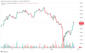 تحليل البتكوين دولار BTCUSD-9-8-2024