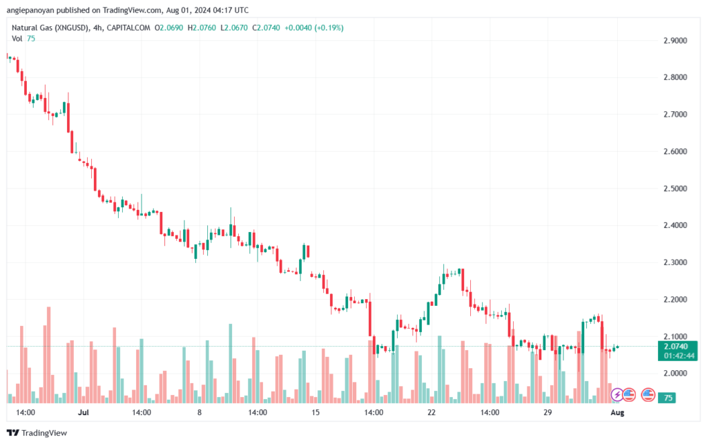 تحليل الغاز الطبيعي 1-8-2024 NATURAL GAS