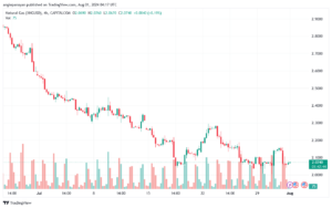 تحليل الغاز الطبيعي 1-8-2024 NATURAL GAS