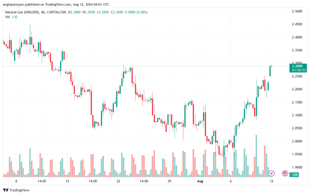 تحليل الغاز الطبيعي 12-8-2024 NATURAL GAS