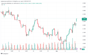 تحليل الغاز الطبيعي 12-8-2024 NATURAL GAS