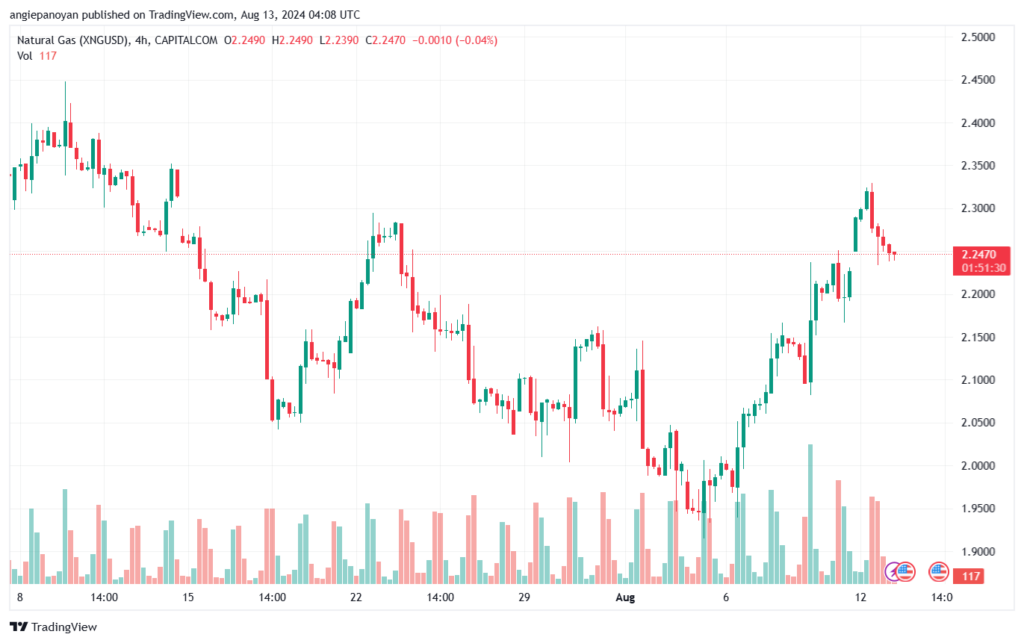 تحليل الغاز الطبيعي 13-8-2024 NATURAL GAS