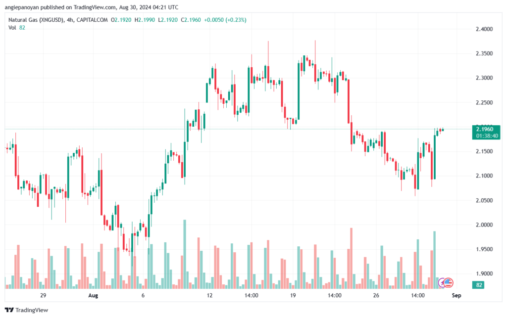 تحليل الغاز الطبيعي NATURAL GAS 30-08-24