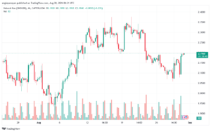 تحليل الغاز الطبيعي NATURAL GAS 30-08-24