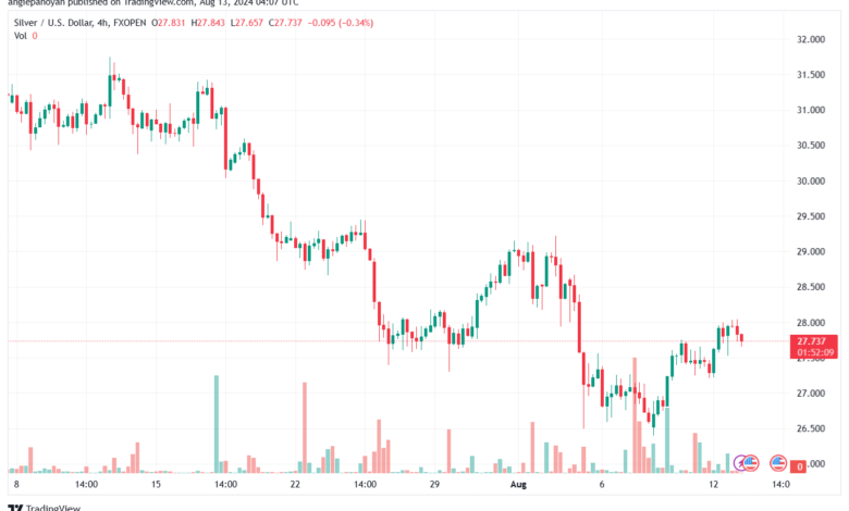 تحليل الفضة 13-8-2024 SILVER XAGUSD