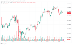 تحليل الفضة 30-8-2024 SILVER XAGUSD