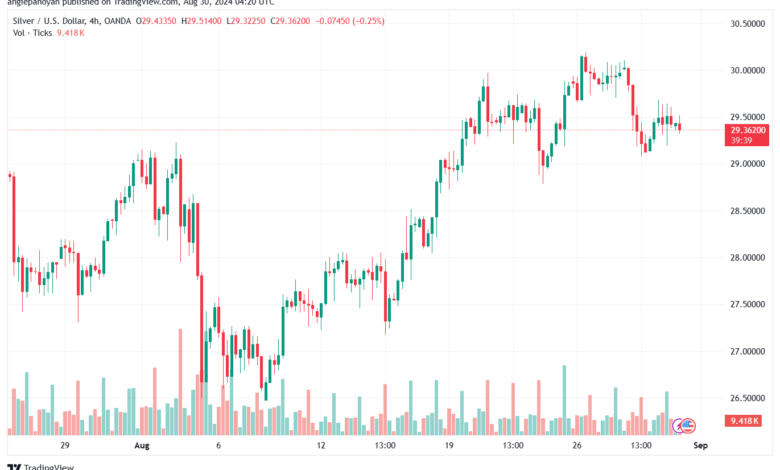 تحليل الفضة 30-8-2024 SILVER XAGUSD