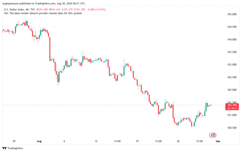 تحليل مؤشر الدولار الامريكي- Dollar Index (DXY)-3082024