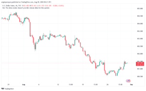 تحليل مؤشر الدولار الامريكي- Dollar Index (DXY)-3082024