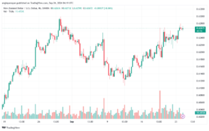 تحليل-NZDUSD-24-9-2024
